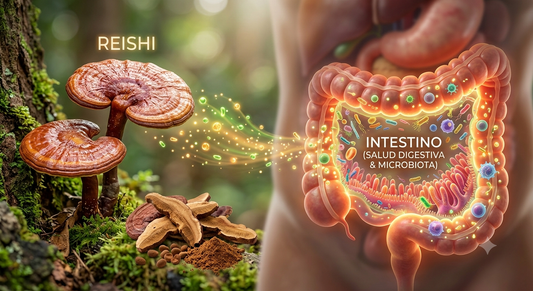 Tu inflamación intestinal tiene una solución en la micoterapia funcional?