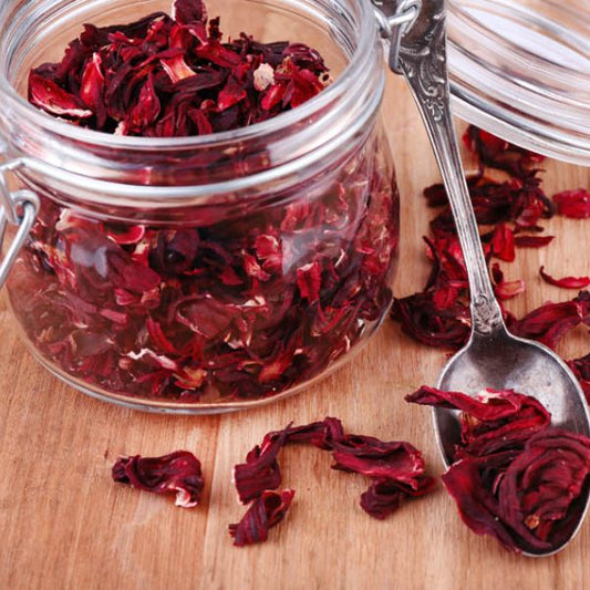 INFUSIÓN HÍBISCO (80g)+ infusor de regalo